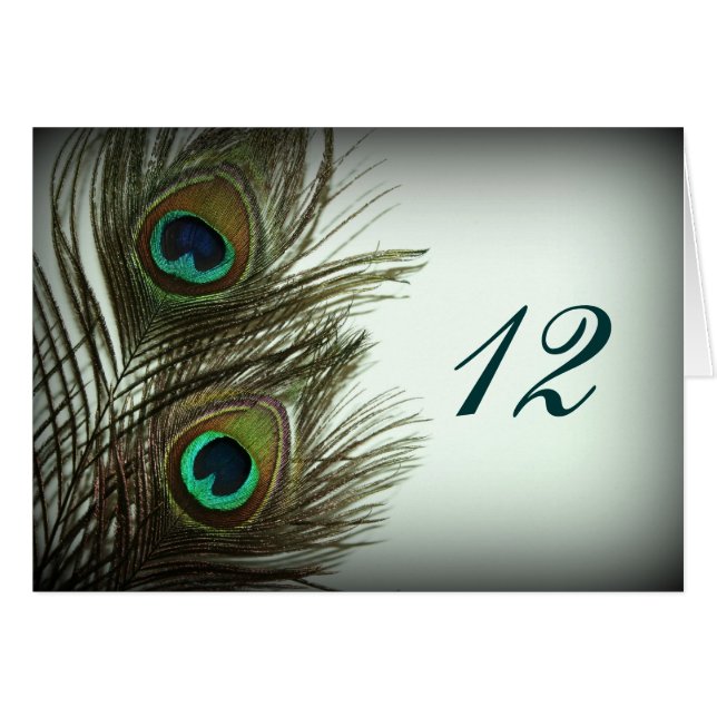 Peacock Feather Table Numbers (Front Horizontal)