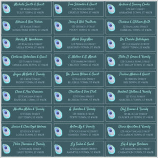 Peacock Feather Teal Modern Wedding Guest Address