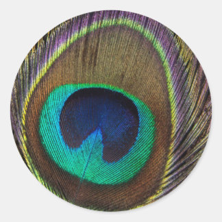 Peacock Feather Upright Close-Up Classic Round Sticker