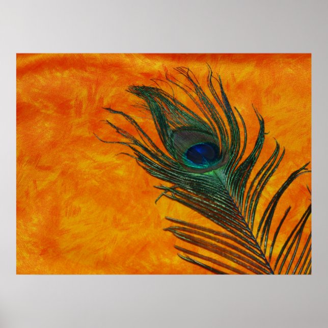 Peacock Feather with Orange Poster (Front)