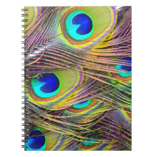 Peacock Feathers 5 Notebooks