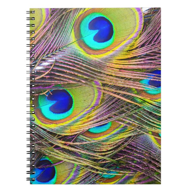 Peacock Feathers 5 Notebooks (Front)