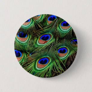 Peacock Feathers 6 Cm Round Badge