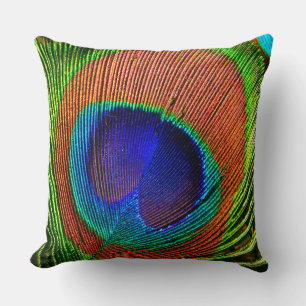 Peacock Feathers 6B Cushion