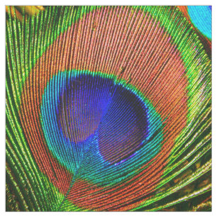 Peacock Feathers 6B Custom Fabric