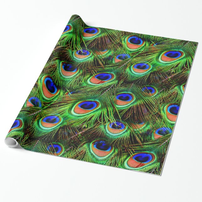 Peacock Feathers 7A-B Options Wrapping Paper (Unrolled)