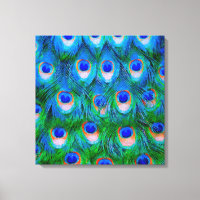 Peacock Feathers Art