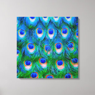 Peacock Feathers Art Canvas Print