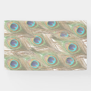 Peacock Feathers Banner