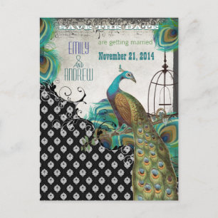 Peacock Feathers Birdcage Save the Date Announcement Postcard