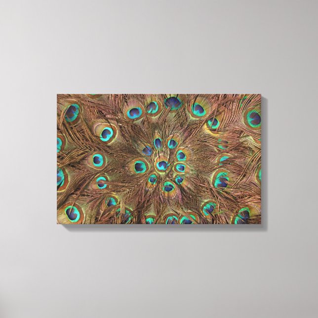 Peacock feathers canvas print (Front)