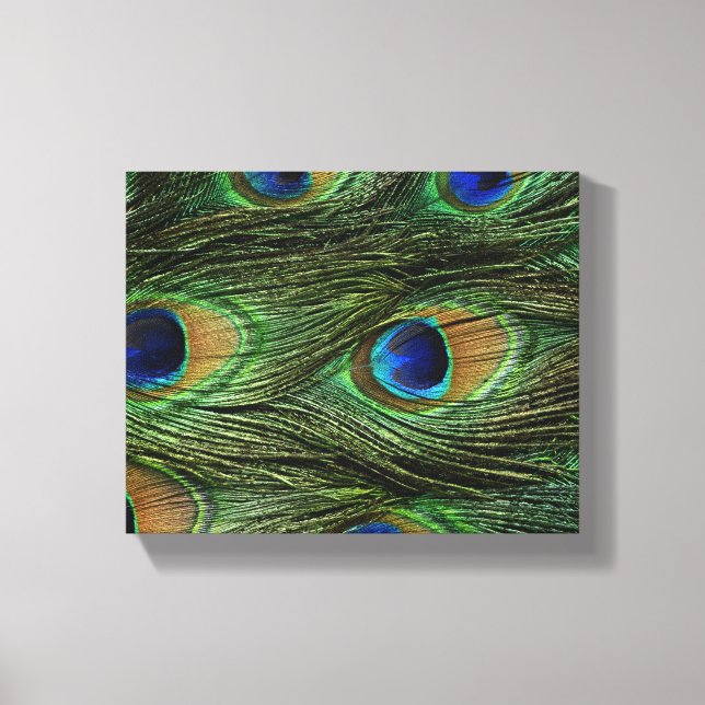 Peacock Feathers Canvas Print (Front)