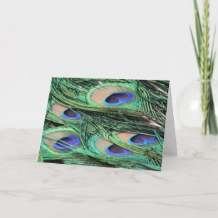 Peacock Feathers Card
