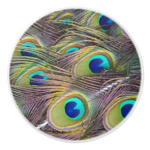 Peacock Feathers Ceramic Knob