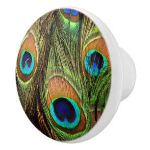 Peacock Feathers Ceramic Knob