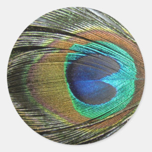 Peacock Feathers Classic Round Sticker