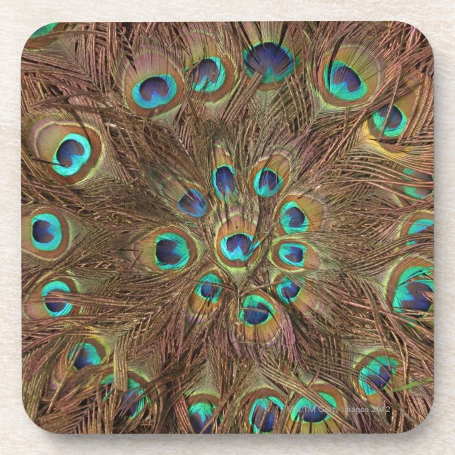 Peacock feathers coaster (Front)
