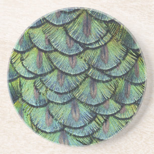 Peacock Feathers Coaster