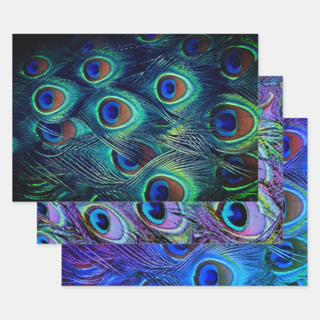 Peacock Feathers Collection Wrapping Paper Sheet (Set)