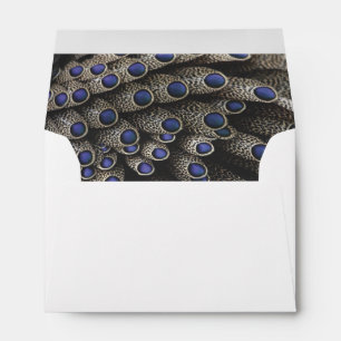 Peacock Feathers Envelopes