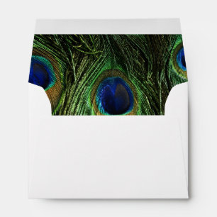 Peacock Feathers Envelopes
