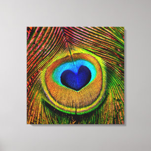 Peacock Feathers Eye of Love Canvas Print