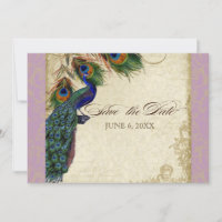 Peacock & Feathers Formal Save the Date Aqua Blue