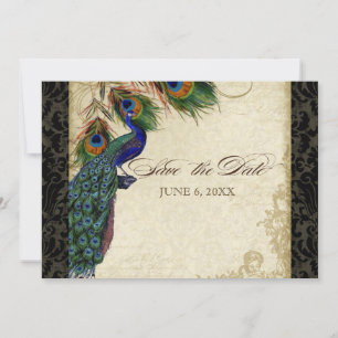 Peacock & Feathers Formal Save the Date Black Tan