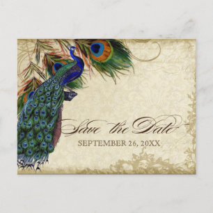 Peacock & Feathers Formal Save the Date Black Tan Announcement Postcard