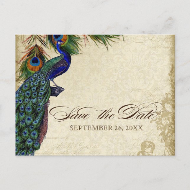 Peacock & Feathers Formal Save the Date Black Tan Announcement Postcard (Front)