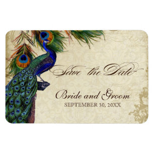 Peacock & Feathers Formal Save the Date Black Tan Magnet