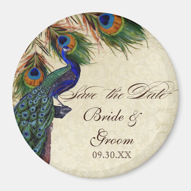 Peacock & Feathers Formal Save the Date Black Tan Magnet (Front)