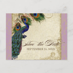Peacock & Feathers Formal Save the Date Lavender Announcement Postcard