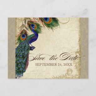 Peacock & Feathers Formal Save the Date Taupe Announcement Postcard