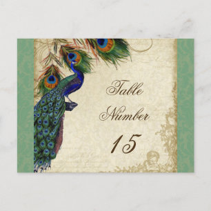 Peacock & Feathers Formal Wedding Table Numbers Postcard
