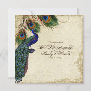 Peacock & Feathers Formal Wedding Tea Stained Invitation