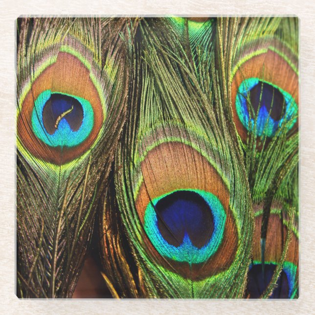 Peacock Feathers Glass Coaster (Front)