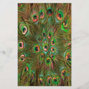 Peacock feathers green Background Stationery