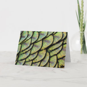 Peacock Feathers Greeting Card