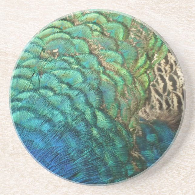 Peacock Feathers I Colorful Abstract Nature Design Coaster (Front)