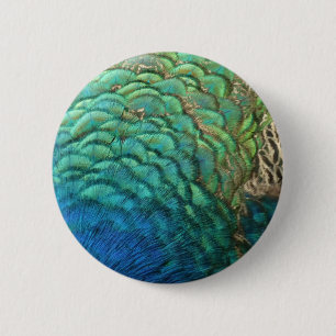 Peacock Feathers I Colourful Abstract Nature Desig 6 Cm Round Badge