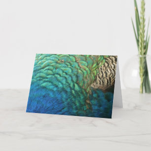 Peacock Feathers I Colourful Abstract Nature Desig Card
