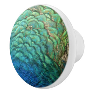 Peacock Feathers I Colourful Abstract Nature Desig Ceramic Knob