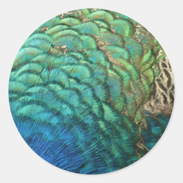 Peacock Feathers I Colourful Abstract Nature Desig Classic Round Sticker (Front)