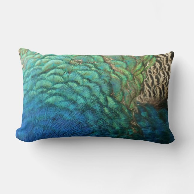 Peacock Feathers I Colourful Abstract Nature Desig Lumbar Cushion (Front)