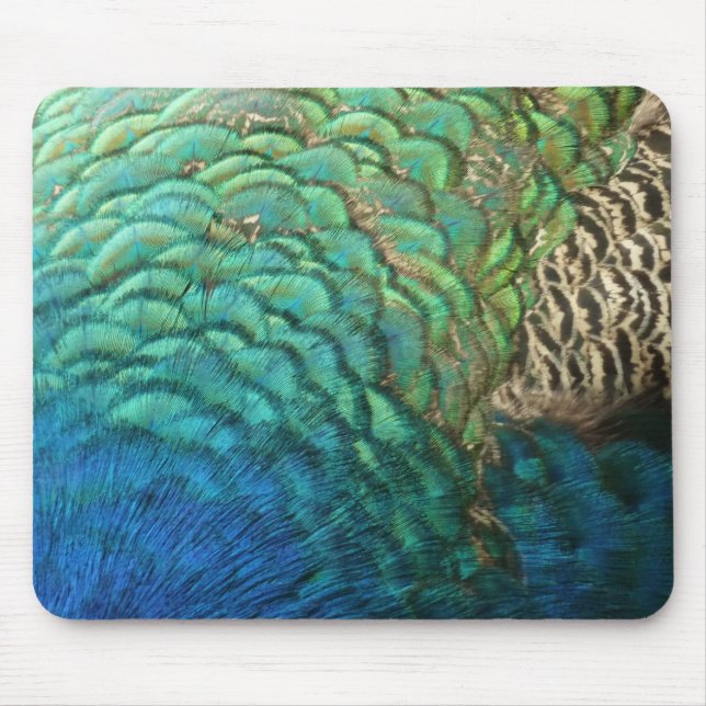 Peacock Feathers I Colourful Abstract Nature Desig Mouse Mat (Front)