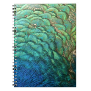 Peacock Feathers I Colourful Abstract Nature Desig Notebook