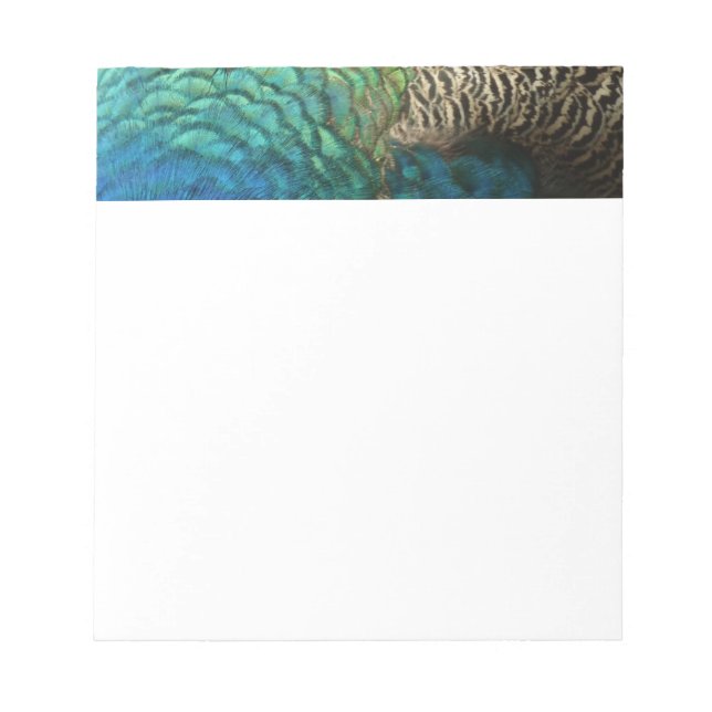 Peacock Feathers I Colourful Abstract Nature Desig Notepad (Front)