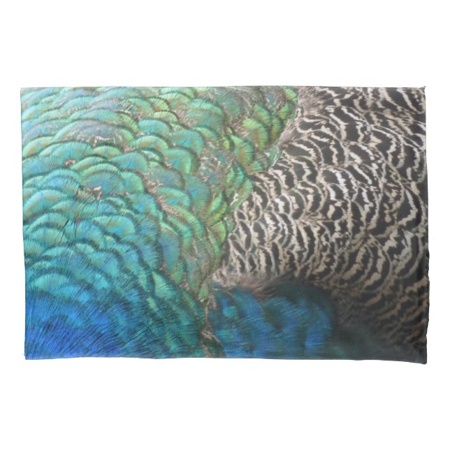 Peacock Feathers I Colourful Abstract Nature Desig Pillowcase (Front)