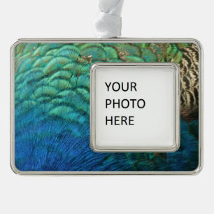 Peacock Feathers I Colourful Abstract Nature Desig Silver Plated Framed Ornament